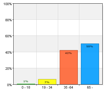 2. Hur gammal är du? Hur gammal är du? A. 0-18 1 0,8 B.