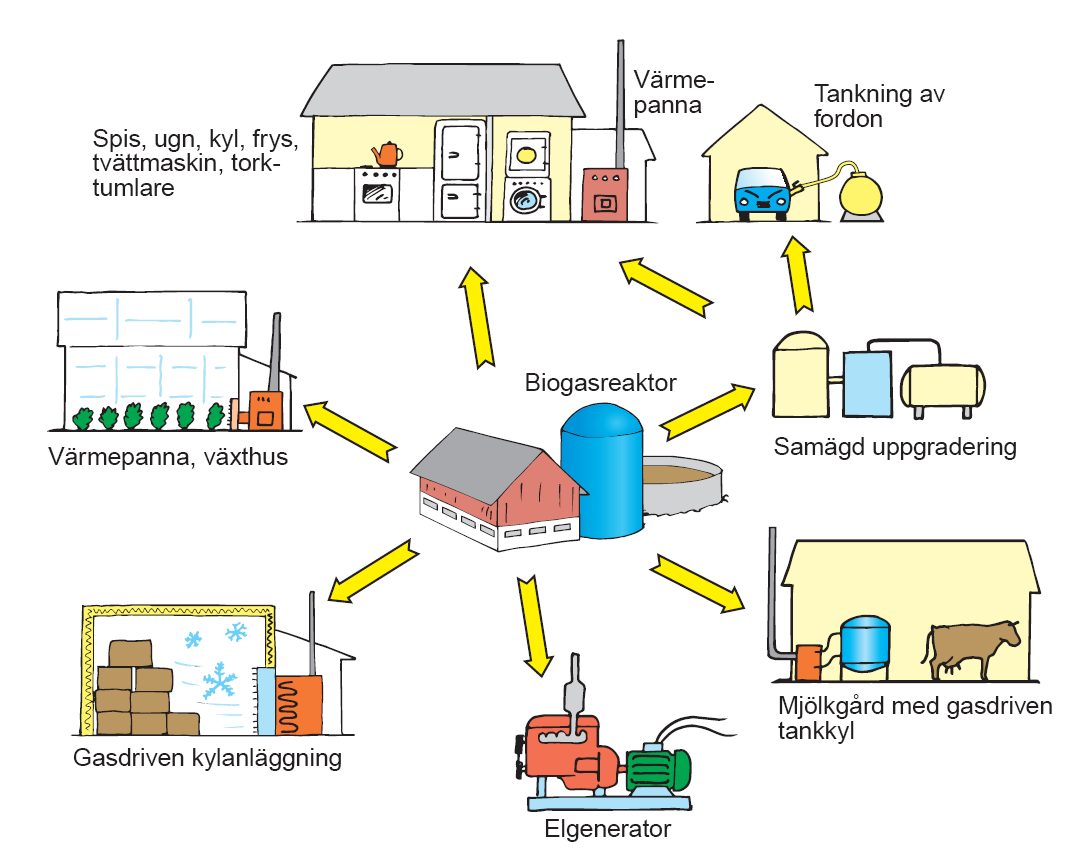 3. Omvärldsanalys med styrgruppens slutsatser 3.1 Biogas rymmer många möjligheter Biogas kan produceras av många olika substrat och i många olika anläggningstyper och storlekar.