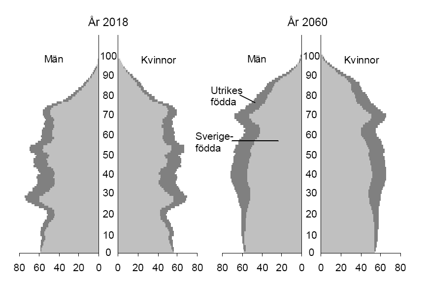 Nationell inblick Befolkningspyramider (ålderspyramid) är ett grafiskt sätt att illustrera ålders- och könsfördelningen i en befolkning.