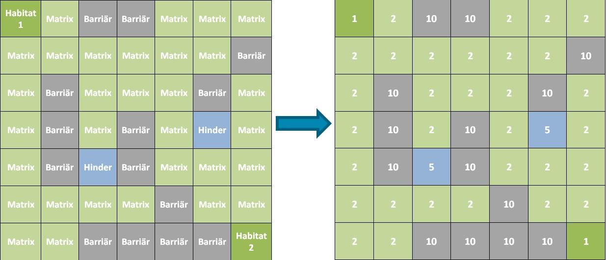 I utformandet motståndsrastret implementeras en stor del av det ekologiska referensmaterial som användaren samlat.