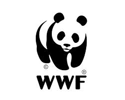 Vilka organisationer och miljömärkningar finns det och vad gör de? Världsnaturfonden (WWF).