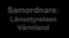 Projektorganisation för RDAV Styrgrupp (Projektägare): - Länsstyrelsen -Region Värmland - Landstinget -Drifts- och servicenämnden i Karlstads kommun Samordnare: Länsstyrelsen Värmland Omvärldsanalys: