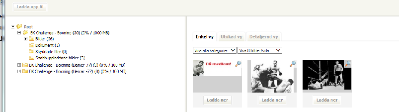 Vill du föra över dessa bilder till rätt album gör du så att du klickar på den bild som ska läggas i en annan