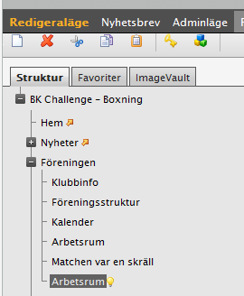 Sektion 5 - Arbetsrum Roll: Huvudadministratör, Administrera hemsida, Gruppadministratör Ett arbetstum är en hemsida inom hemsidan.