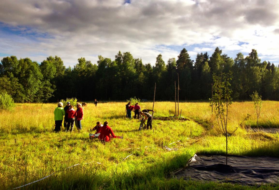 Stjärnsund centrum för permakulturlärande Projektet har haft en omfattande kursverksamhet, bland annat en skogsträdgårdskurs.