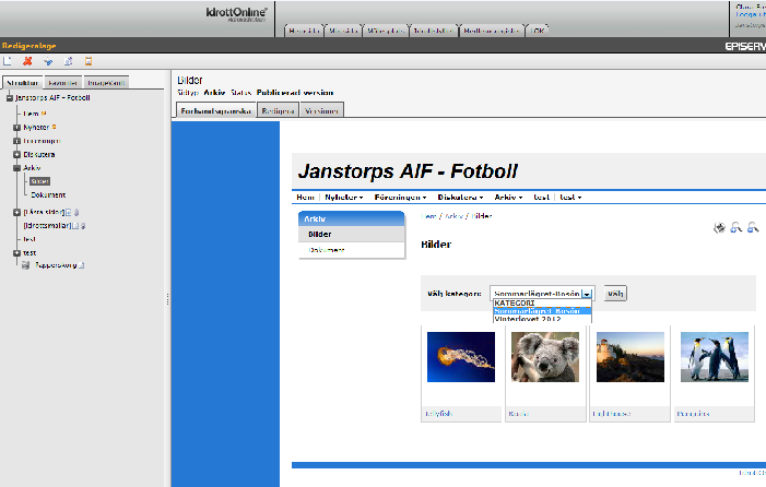 Arkiv Denna sidmall är en typ av galleri och används för att visa filer som finns sparade i klubbens filbibliotek ImageVault.