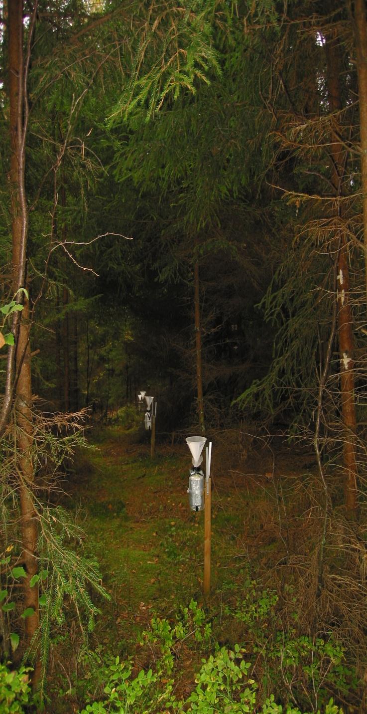 SWETHRO Estimates of total deposition of nitrogen and base cations to forests Se