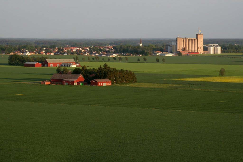 Vara kommun Maria