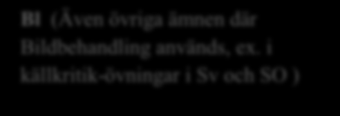 Ansvarsfördelning IT-pedagog har tillsammans med särskild arbetsgrupp fördelat ansvaret för de olika IKTkunskaperna till ämneslärarna. Ämnen med huvudansvar är markerade med fet stil.