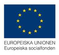 Resultat Enkätundersökningar De flesta anser att stadskärnan som