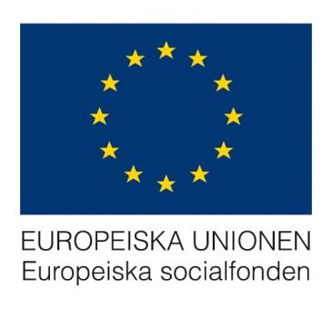 Projekten finansieras av: Tillväxtverket, Ungdomsstyrelsen Europeiska regionala