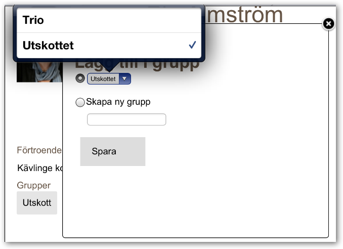 Modulen Ledamot Följande funktioner: - Se profil innehållande persondata samt vilka grupper personen ingår i.