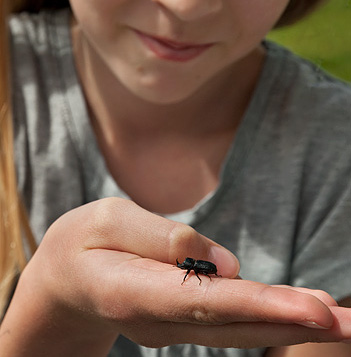 Häng med på en utflykt till naturen! Allt det här händer i naturen. Välkommen att följa med ut. De flesta aktiviteterna är gratis, men på några betalar du för guide eller lån av utrustning.