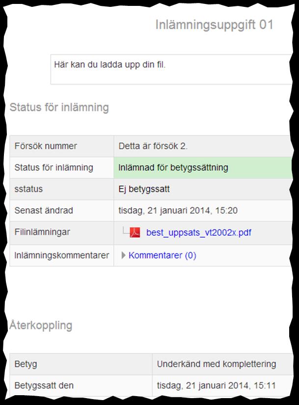 Längst ner på den enskilda studentens sida i uppgiften visas studentens tidigare försök under rubriken Tidigare försök. 3.