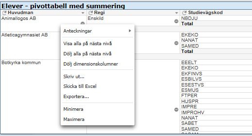 . Genom att högerklicka på en datacell och välja Dölj alla på nästa nivå döljs nästa nivå (kolumnen till höger) för alla rader i listan. I ex ovan står man i första datacellen (Animallogos AB).