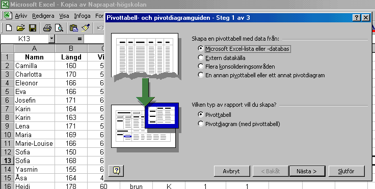 Steg 2 pivottabell [microsoft