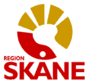 RSIT - Regions Skånes IT-Förvaltning Ansvarig Fredrik S Carlsson Skapat 2009-02-10 Senaste