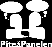 PiteåPanelen Rapport 18 Medborgarbudget