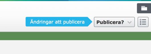 Enkel redigering När du är inloggad och surfar runt i visaläget kan du när som helst klicka på EpiServerikonen uppe i högra hörnet. Då kommer du in i CMS:et och kan redigera den sidan.