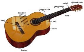 Stränginstrument gitarren