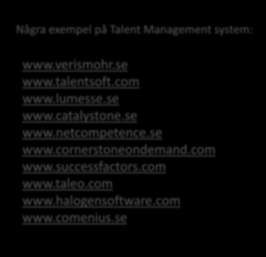 IT-stöd ökar effektiviteten Allt fler företag börjar få upp ögonen för Talent Management system, även om många inte har börjat implementera systemen ännu.