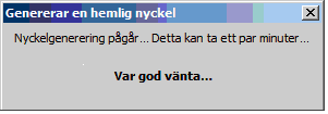 7. För att lagra certifikatet på din dator, klicka på knappen Slutför. Låt nyckellängden förbli 2048 High Grade (förvalt).