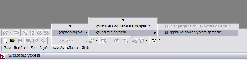 Databasen uppgraderas till Access 2000 För att kunna skapa egna rapporter måste man konvertera nuvarande databas (access 97) till Access 2000.