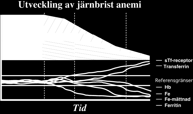 Hemokromatos Prevalens 1/300, underdiagnostiserad Diagnos Järnmättnad