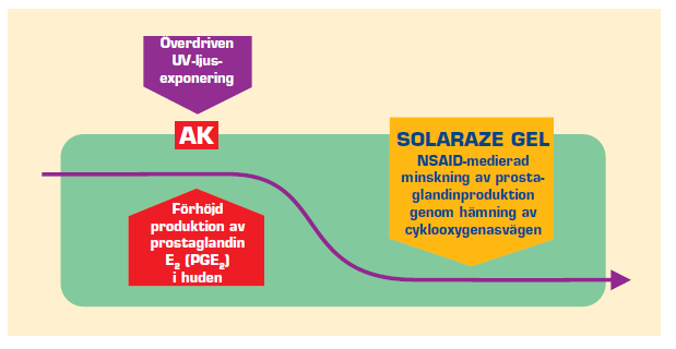 Aldara är effektiv men har en ofördelaktig biverkningsprofil framförallt genom att binda till TLR7 och har därigenom en indirekt antiviral och anticancereffekt.