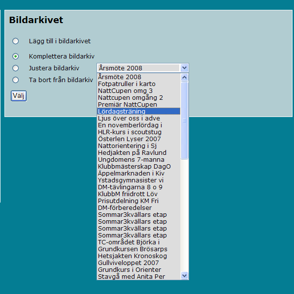 I Bildarkivet behöver du inte skriva in något namn på respektive fil. Vill du däremot skriva en text till bilden skriver du in det under Bilder och förklaringar.