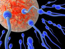Omega-3, självproducerat eller via