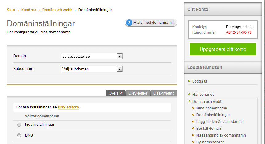Kom-igång-guide för Administratör 80 Sidan för domäninställningar öppnas.