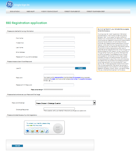 Fyll i Single Sign On (SSO) formuläret.