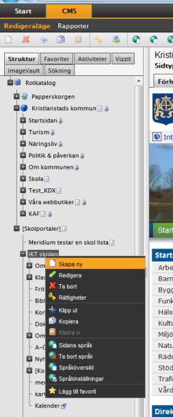 Skapa, spara och publicera För att göra en ny sida kan du välja mellan att