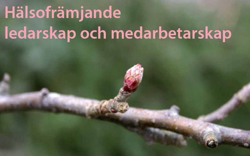 PROCESSTÖD FÖR