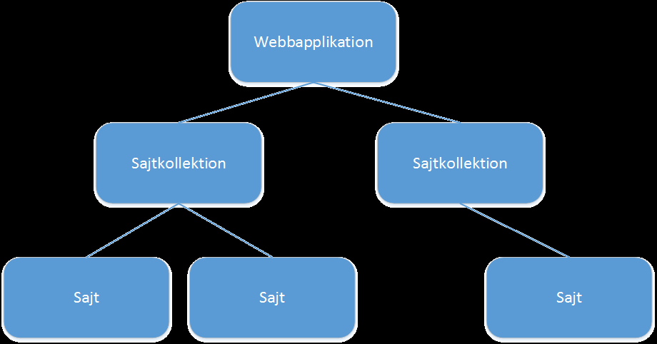 Figur 2.3 - Överblick av en webbapplikation Mycket av funktionaliteten i SharePoint kommer från så kallade tjänsteapplikationer (Service application).