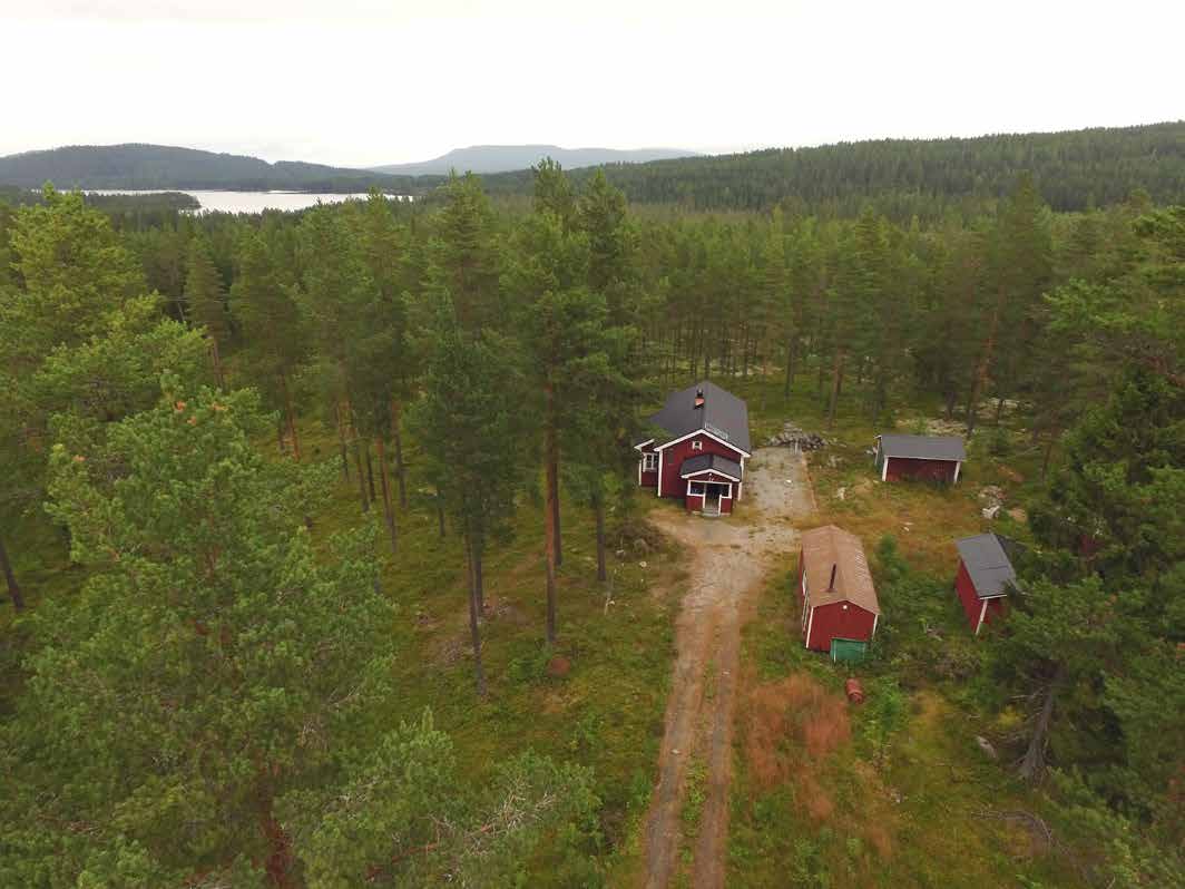 FRITIDSHUS MED SKOG Fritidshus i gott skick och ca 9 ha produktiv skogsmark ca 1,5 mil sydväst om Järvsö.