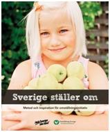 Omställningsrörelsen Oljetoppen har inträffat - Peak oil Miljöbelastningarna ökar Världsekonomin
