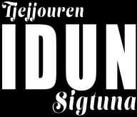 1 Bakgrund Tjejjouren Idun Sigtuna grundades hösten 2009 och har sedan dess bedrivit verksamhet för att möta varje individ i nuet genom ett normkritisk bemötande.