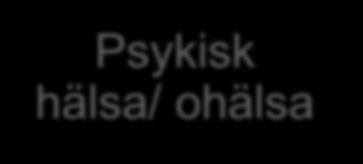 Forskningsområde Olika spelformer