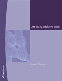 forskning Integrative Model of Group