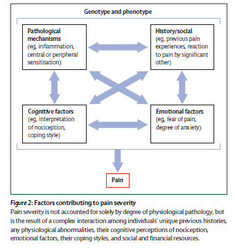 Den ovan rapporterade mixen av riskfaktorer i Waltons studie (Walton et al., 2009) är inte unik. Även för andra kroniska tillstånd har diskuterats och rapporterats riskfaktorer.