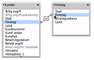 Övningsavsnitt 11 Skapa relationsdatabaser I relationsdatabaser kan du lätt granska relaterad information och effektivisera datainmatningen.
