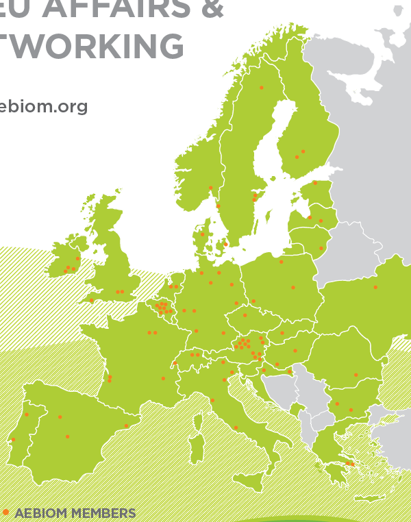 Represents and promotes interests of bioenergy stakeholders 30 national associations About 80 associated companies About AEBIOM European Biomass Association Activities: lobbying, workshops,