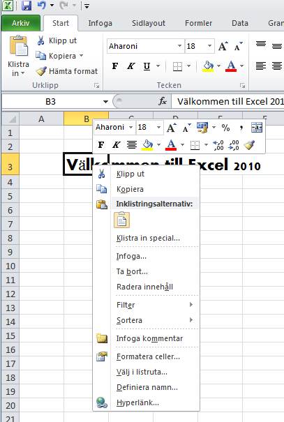 Filformat En användare av en äldre Office-version kan inte öppna en fil som är skapad i Office 2007 eller 2010 (som har namnet.xlsx) utan ett extra tillägg.