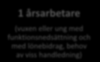 Solfjädern en metod för Göteborg? Tjänst som omfattar minst 4 miljoner kr/år och nivån på sociala hänsyn uppgår till 10% av upphandlingens värde.