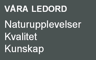 Klipp ur