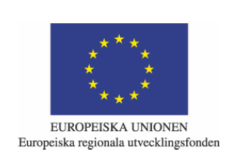 1. Sammanfattning av projektet... 4 2. Bakgrund, utgångsläge... 10 2.1 Tidplan... 11 2.2 Projektdeltagare... 11 2.3 Finansiering... 12 3. Projektets syfte och uppfyllelse av mål och målgrupp... 13 3.