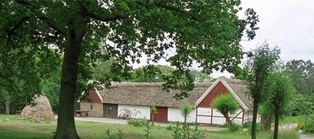4. Skånegården Matematiskt område: Problemlösning Gruppstorlek: ca 7 elever. Välkomna till familjen Åkessons gård. Familjen Åkesson bodde i Skåne, som ligger i södra Sverige.