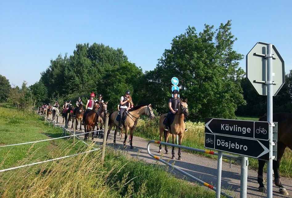 LÄGER 3 - ÖVERNATTNINGS RIDLÄGER vecka 28 måndag fredag. 3500 kr. Anmälningsavgiften 600 kr sätts in på bankgiro konto 5978-5303. Ange namn och ålder samt vilket läger ni anmält till.